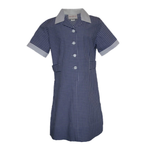 Dress Gingham Child